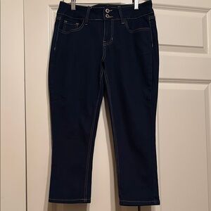 Dark Blue Cropped Pants